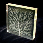 "Lichtenberg figure in block of Plexiglas" by Bert Hickman - en:Image:Square1.jpg. Licensed under Attribution via Wikimedia Commons - http://commons.wikimedia.org/wiki/File:Lichtenberg_figure_in_block_of_Plexiglas.jpg#mediaviewer/File:Lichtenberg_figure_in_block_of_Plexiglas.jpg